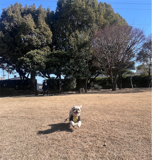 f:id:kenken8383:20260112192516j:image