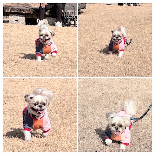 f:id:kenken8383:20260119231128j:image