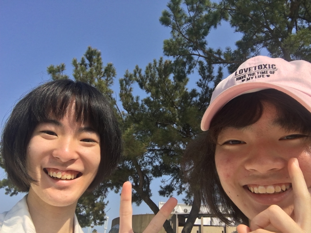 f:id:kenken_bronzelife:20190504141956j:plain f:id:kenken_bronzelife:20190504141956j:plain