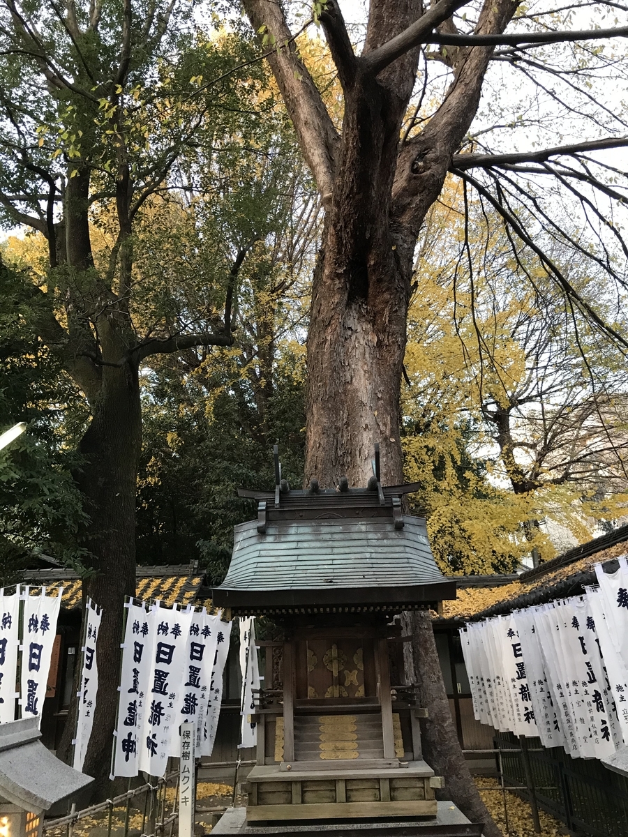 f:id:kenkenkun888:20191216215028j:plain