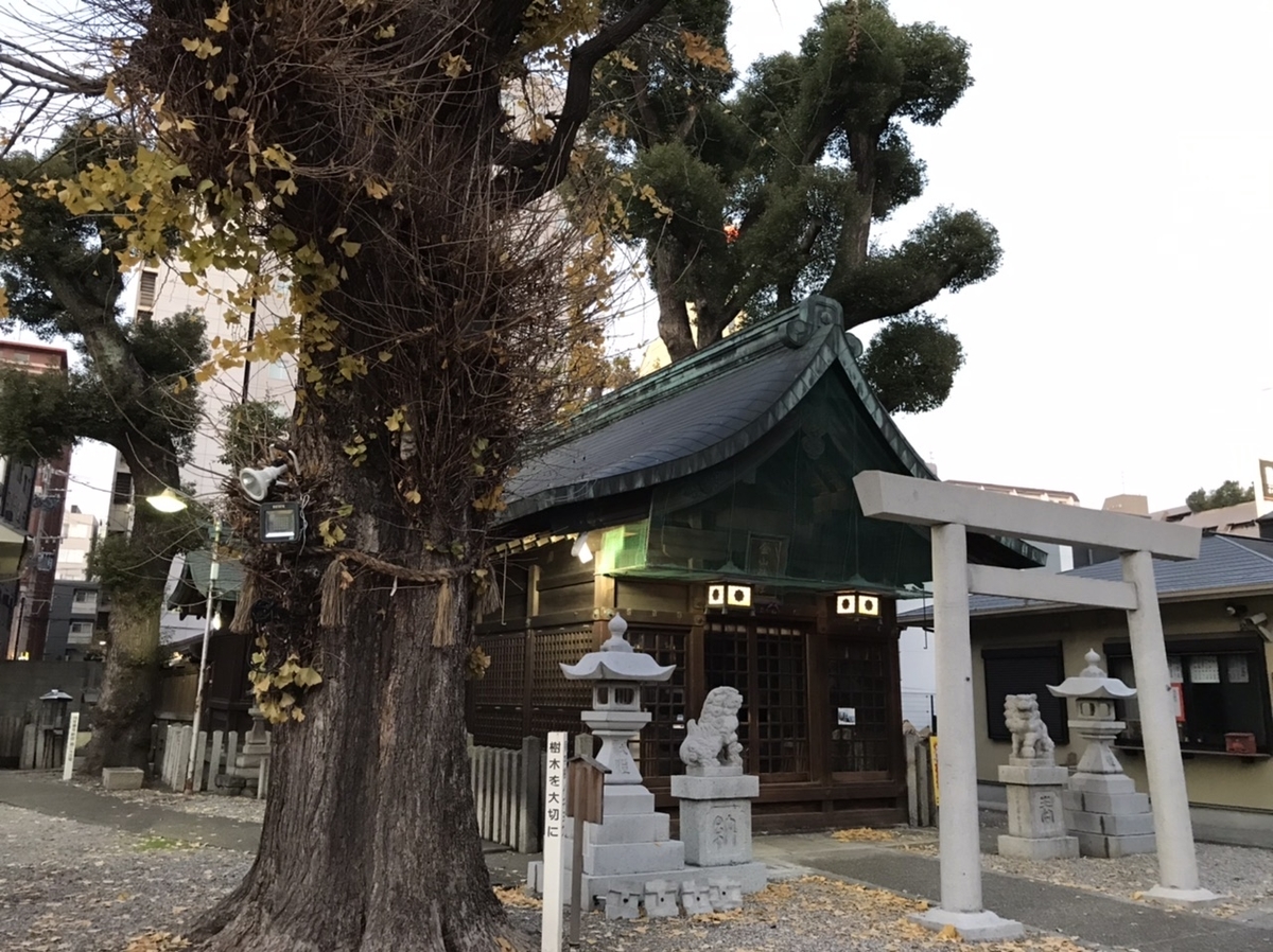 f:id:kenkenkun888:20191216220526j:plain