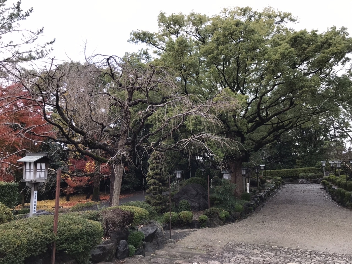 f:id:kenkenkun888:20191218203224j:plain