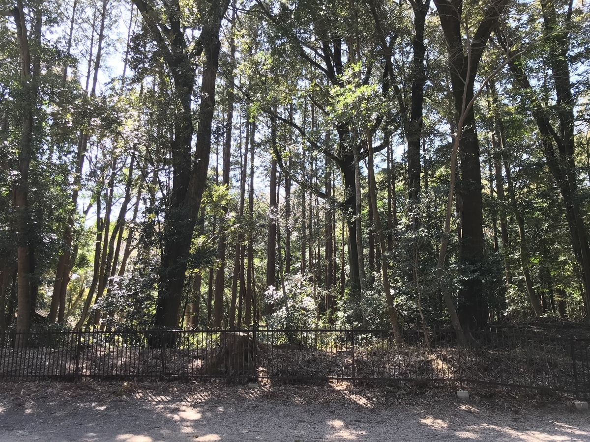 f:id:kenkenkun888:20200325202432j:plain