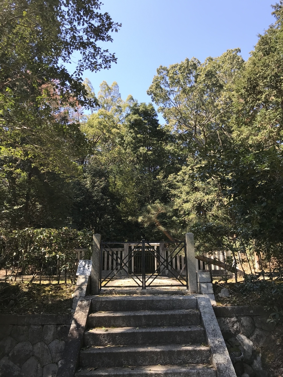 f:id:kenkenkun888:20200325202536j:plain