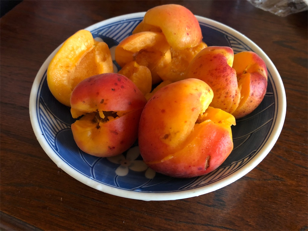 f:id:kenkitube:20180624162145j:image f:id:kenkitube:20180624162145j:image
