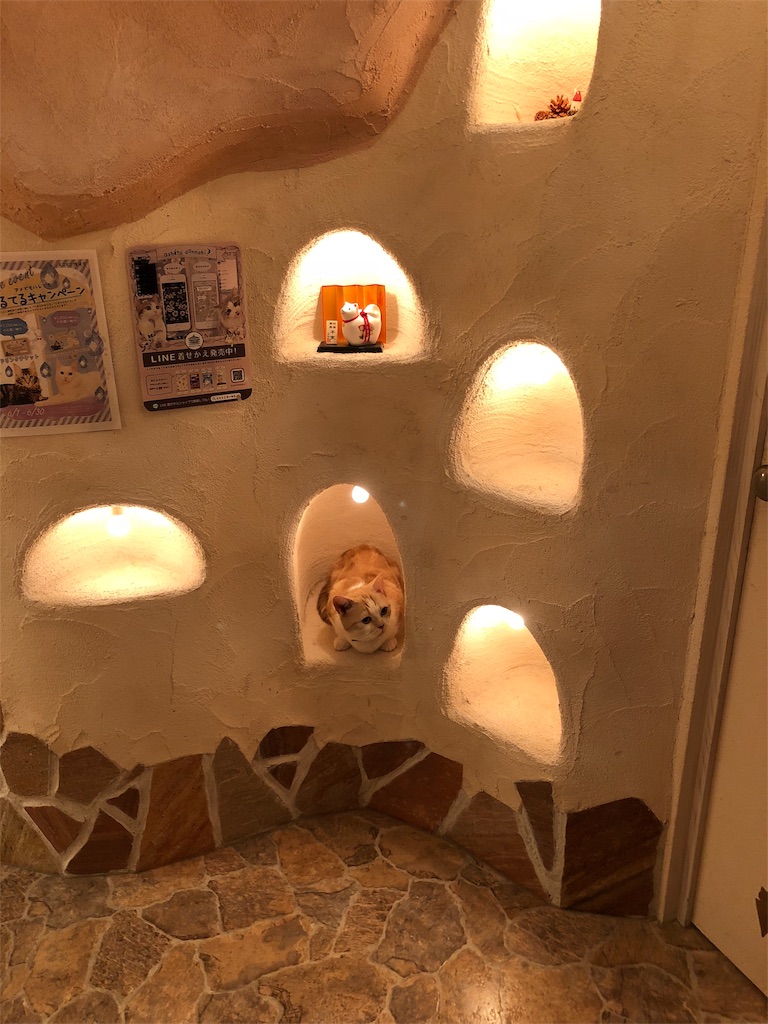 f:id:kenkitube:20180704221408j:image f:id:kenkitube:20180704221408j:image