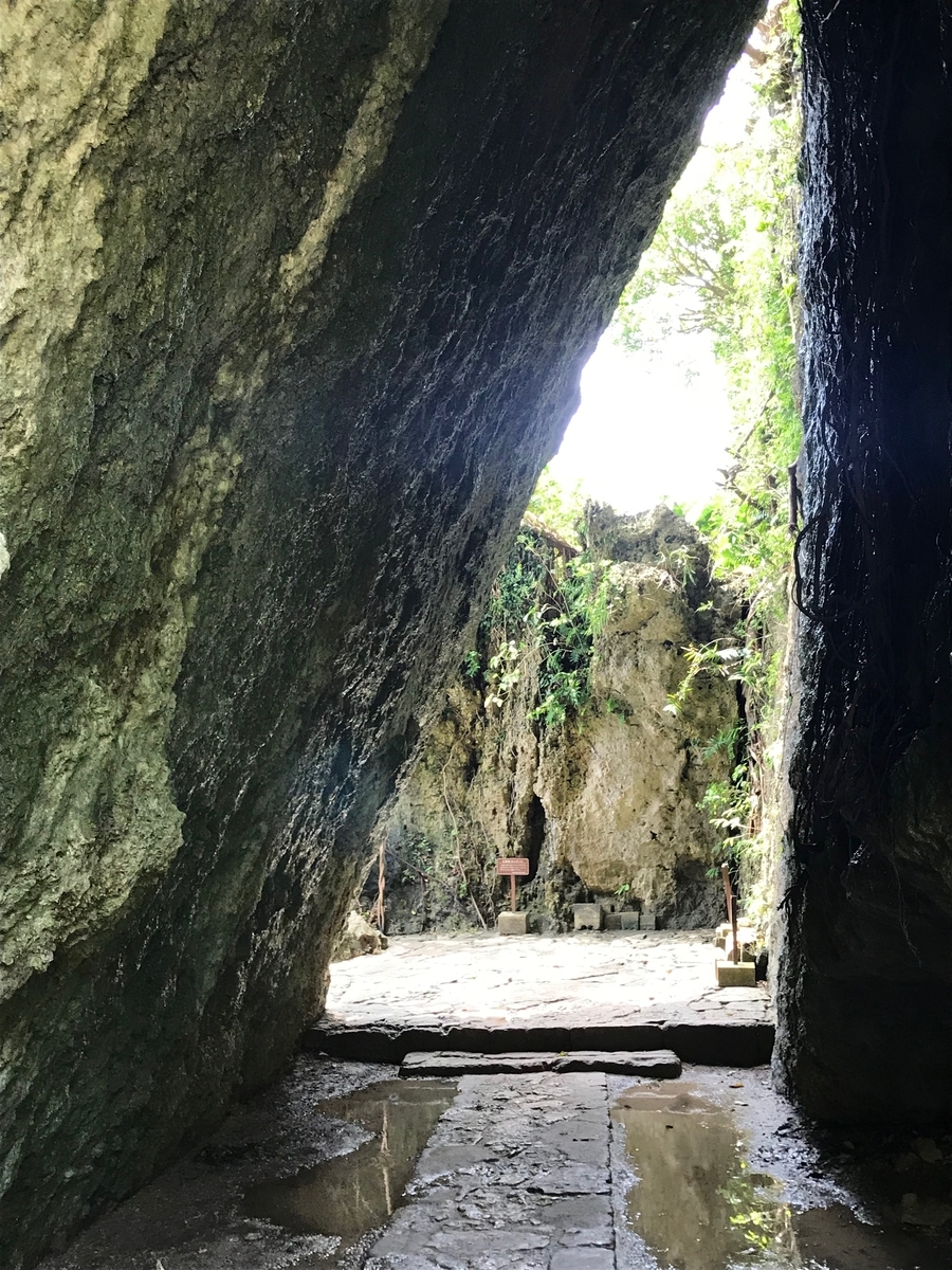 f:id:kenko_dai1:20191108135315j:plain