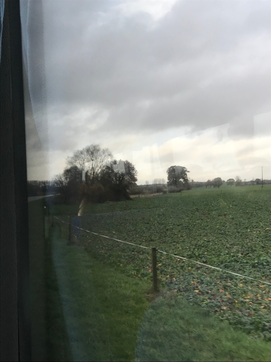 f:id:kenko_dai1:20191206144621j:plain