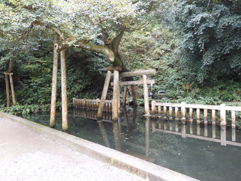f:id:kenkobit:20200604204754j:plain f:id:kenkobit:20200604204754j:plain