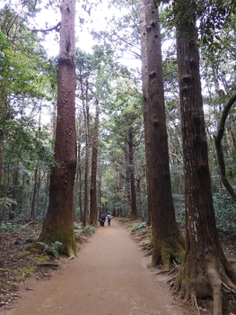f:id:kenkobit:20200604204839j:plain f:id:kenkobit:20200604204839j:plain