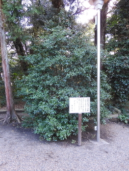 f:id:kenkobit:20200604205031j:plain f:id:kenkobit:20200604205031j:plain