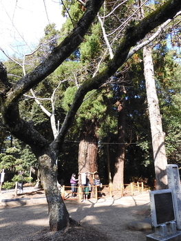 f:id:kenkobit:20200604205046j:plain f:id:kenkobit:20200604205046j:plain