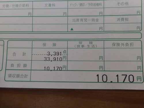 f:id:kenkobit:20201111192741j:plain