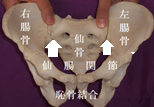f:id:kenkoshido:20180104094047p:plain f:id:kenkoshido:20180104094047p:plain