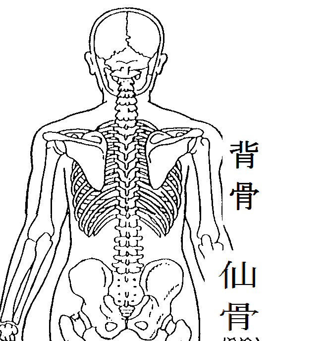 f:id:kenkoshido:20200403022602p:plain f:id:kenkoshido:20200403022602p:plain