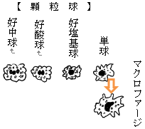 f:id:kenkoshido:20200430173328p:plain f:id:kenkoshido:20200430173328p:plain