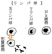 f:id:kenkoshido:20200430173356p:plain f:id:kenkoshido:20200430173356p:plain