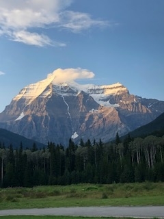 f:id:kenkostyle2011:20200113134508j:plain