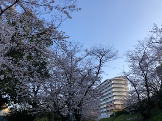 f:id:kenkostyle2011:20200402224306j:plain f:id:kenkostyle2011:20200402224306j:plain