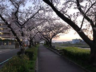 f:id:kenkostyle2011:20200402224528j:plain f:id:kenkostyle2011:20200402224528j:plain