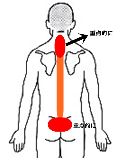 f:id:kenkou07:20190525113105j:plain f:id:kenkou07:20190525113105j:plain