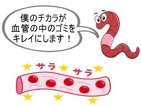 f:id:kenkou07:20191225145135j:plain f:id:kenkou07:20191225145135j:plain