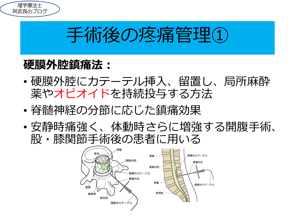f:id:kenkouPT:20201116145759p:plain