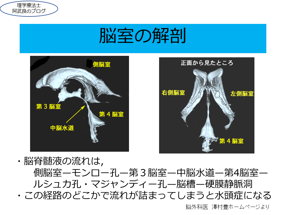 f:id:kenkouPT:20201117144828p:plain