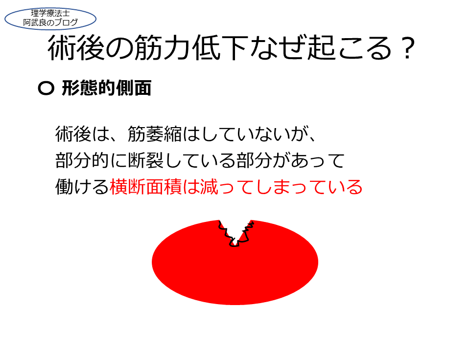 f:id:kenkouPT:20201231042301p:plain