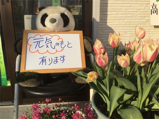 f:id:kenkou_1199:20170427171400j:image f:id:kenkou_1199:20170427171400j:image