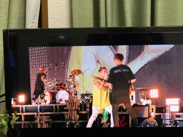 ワンオクライブin渚園 俺たちはいつだって完全感覚dreamerだよなぁ 健康リハビリのお伝え帳 ワンオクライブin渚園 俺たちはいつだって完全感覚dreamerだよなぁ 健康リハビリのお伝え帳