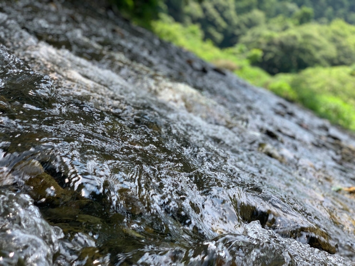 f:id:kenkoureha:20190801223454j:plain f:id:kenkoureha:20190801223454j:plain