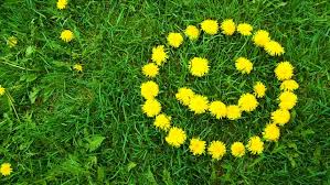 f:id:kenkoutom:20170519190922j:plain f:id:kenkoutom:20170519190922j:plain