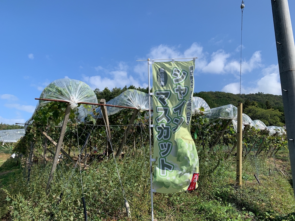 f:id:kenmori123:20191015112755j:plain