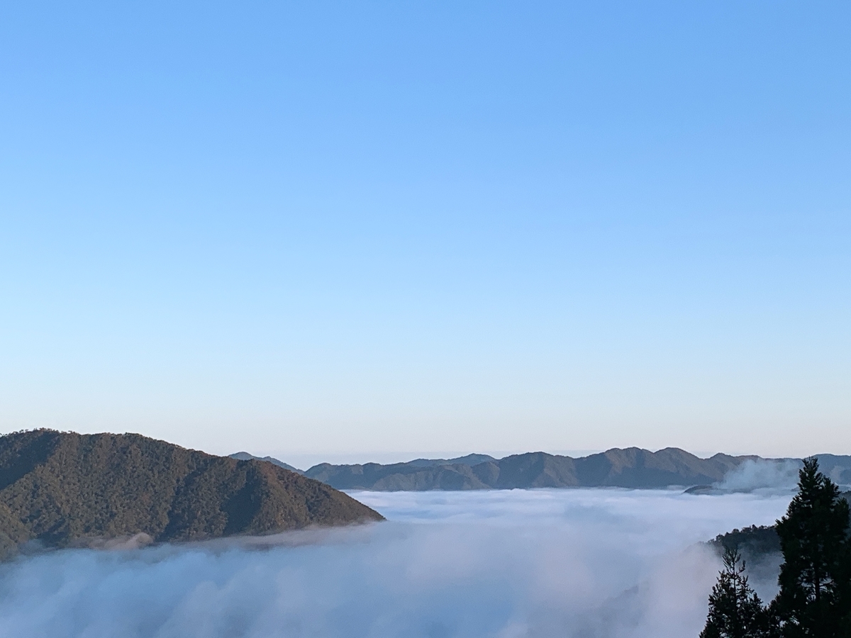 f:id:kenmori123:20191111112546j:plain