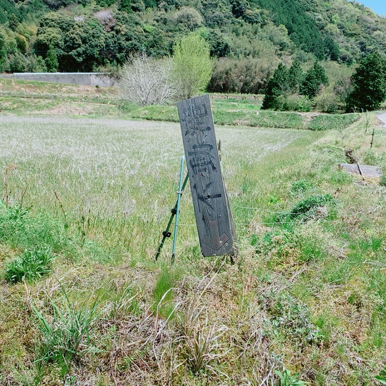 f:id:kenmori123:20200430093932j:plain