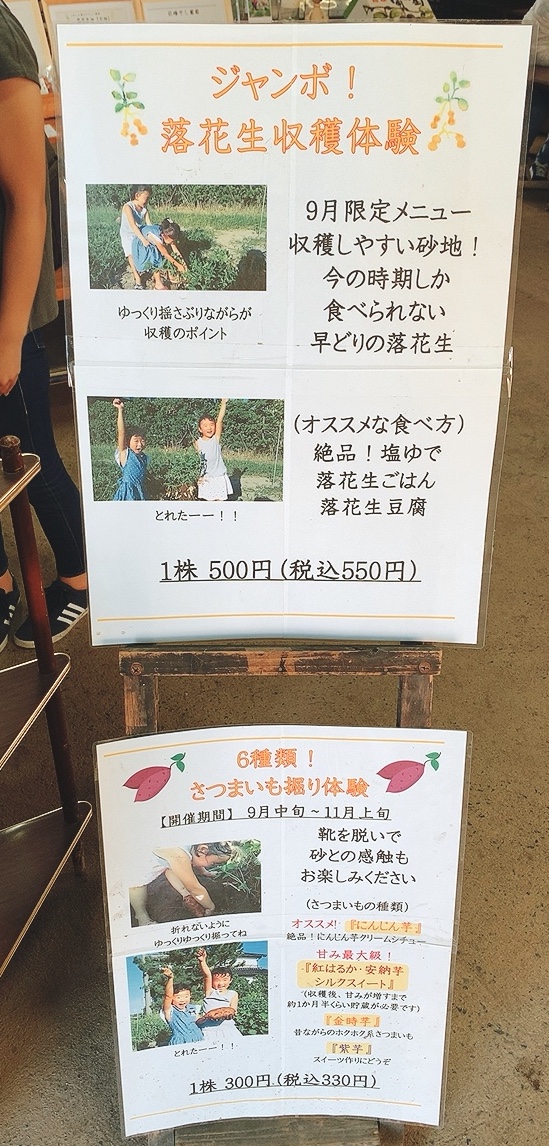 f:id:kenmori123:20200922185615j:plain