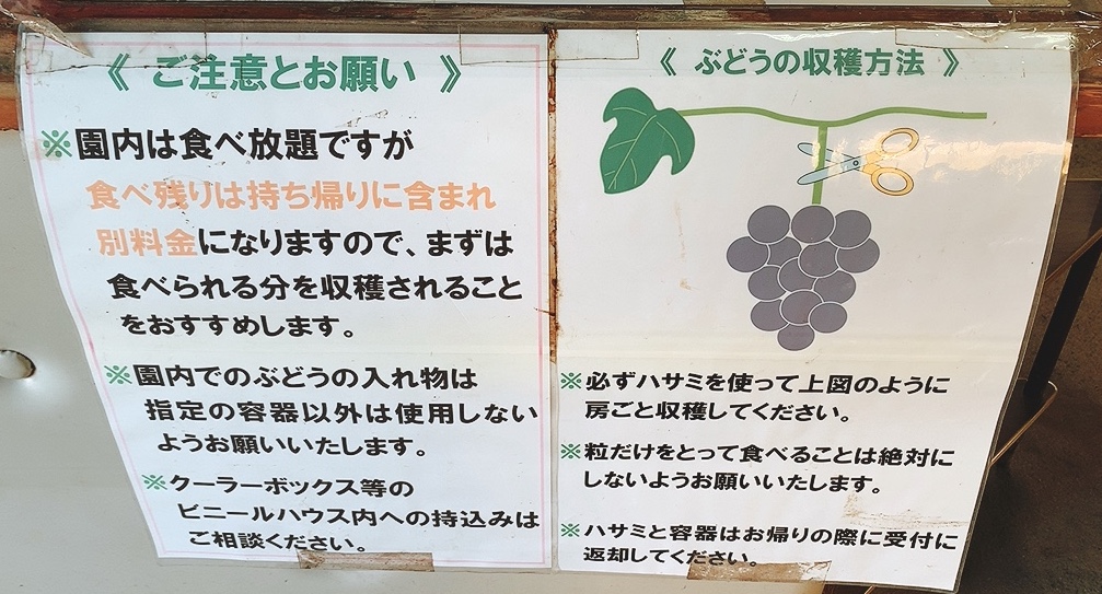 f:id:kenmori123:20200922190512j:plain