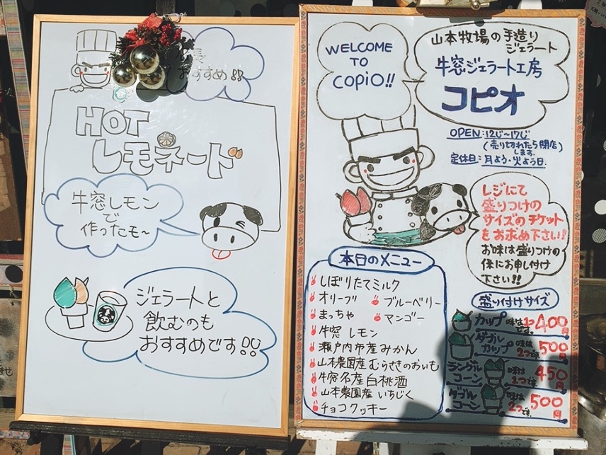 f:id:kenmori123:20201213100700j:plain