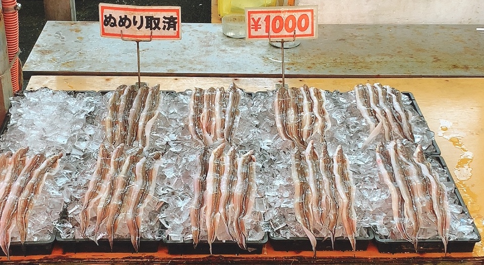 f:id:kenmori123:20201221215330j:plain