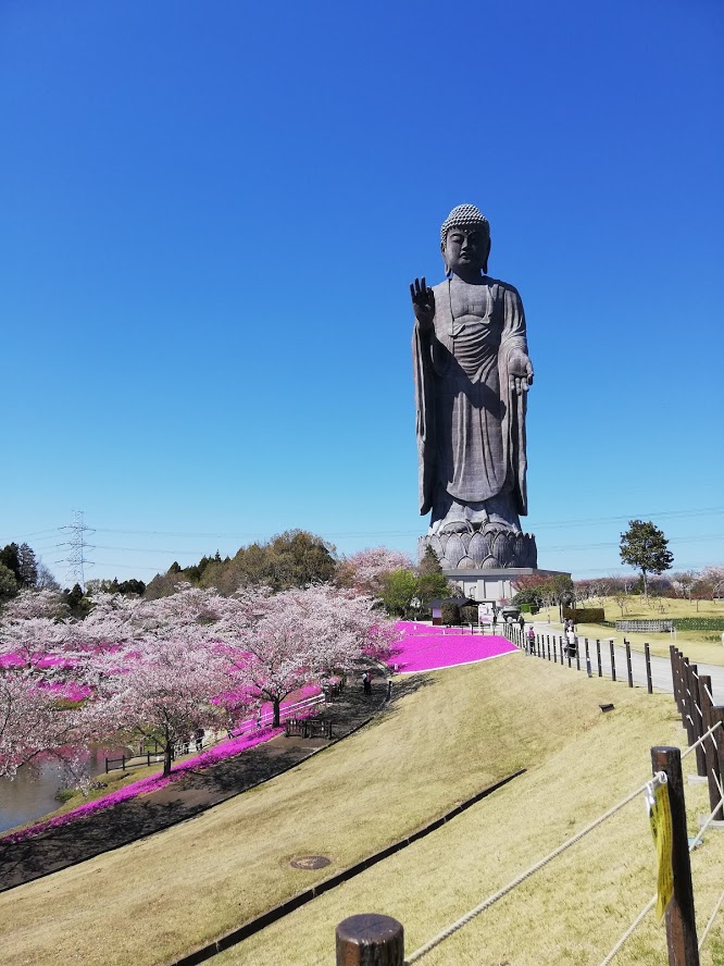 牛久大仏と花