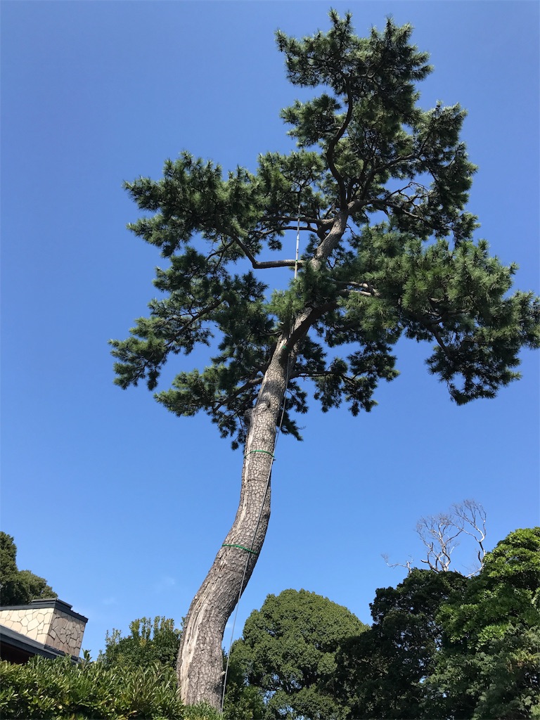 f:id:kennedyamamoto:20170929101913j:image