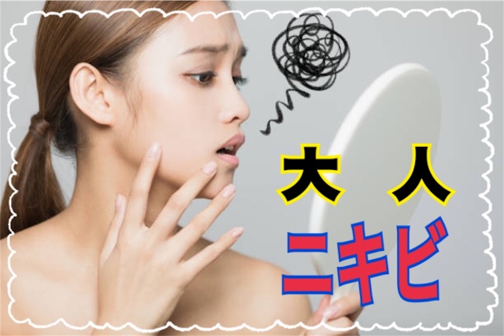 f:id:kennkoudaisuki:20201231214716j:image f:id:kennkoudaisuki:20201231214716j:image