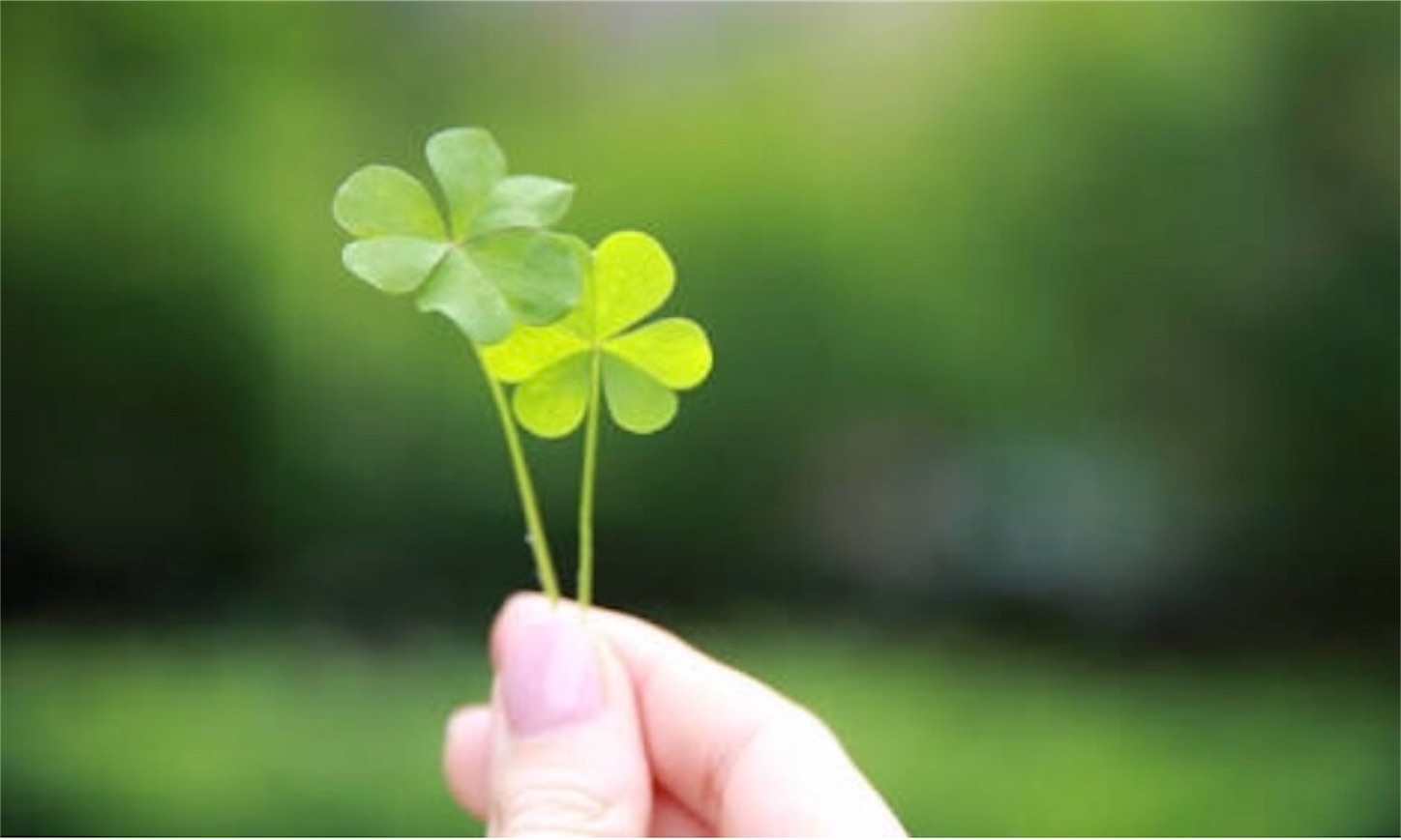f:id:kenny6102:20190531003112j:image f:id:kenny6102:20190531003112j:image