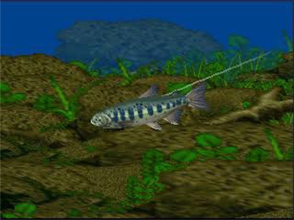 f:id:kennykenny:20200521172840j:image f:id:kennykenny:20200521172840j:image