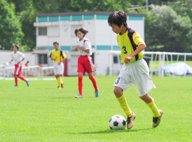 f:id:kenojiku:20190213184237j:plain f:id:kenojiku:20190213184237j:plain