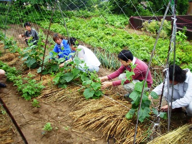f:id:kenren-iskw:20090709100843j:image