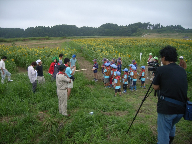 f:id:kenren-iskw:20090808122940j:image