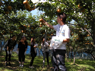 f:id:kenren-iskw:20090919140240j:image