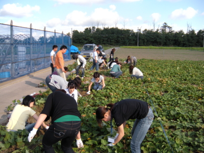 f:id:kenren-iskw:20090919154121j:image